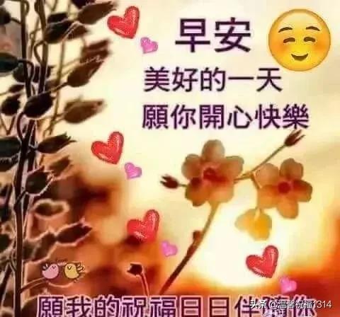 微信新版发布上线