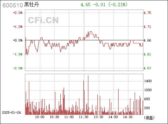 最新动态：黑牡丹股价行情及重要资讯速览